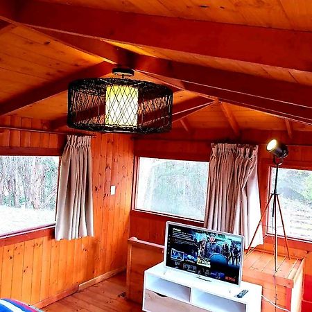 Cabana Con Tinaja Caliente, Quincho Y Pet Friendly Isla Negra Ngoại thất bức ảnh