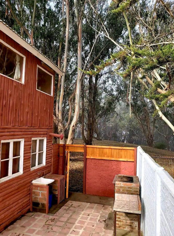 Cabana Con Tinaja Caliente, Quincho Y Pet Friendly Isla Negra Ngoại thất bức ảnh